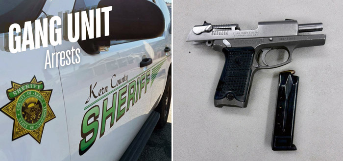 KCSO gang unit