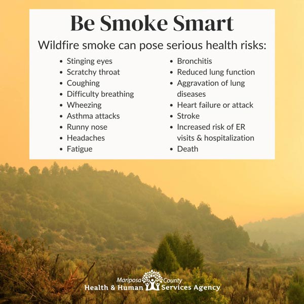 MHHS smoke 2