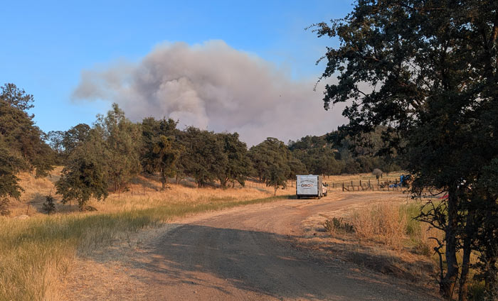 Pedro Fire HDearing 3