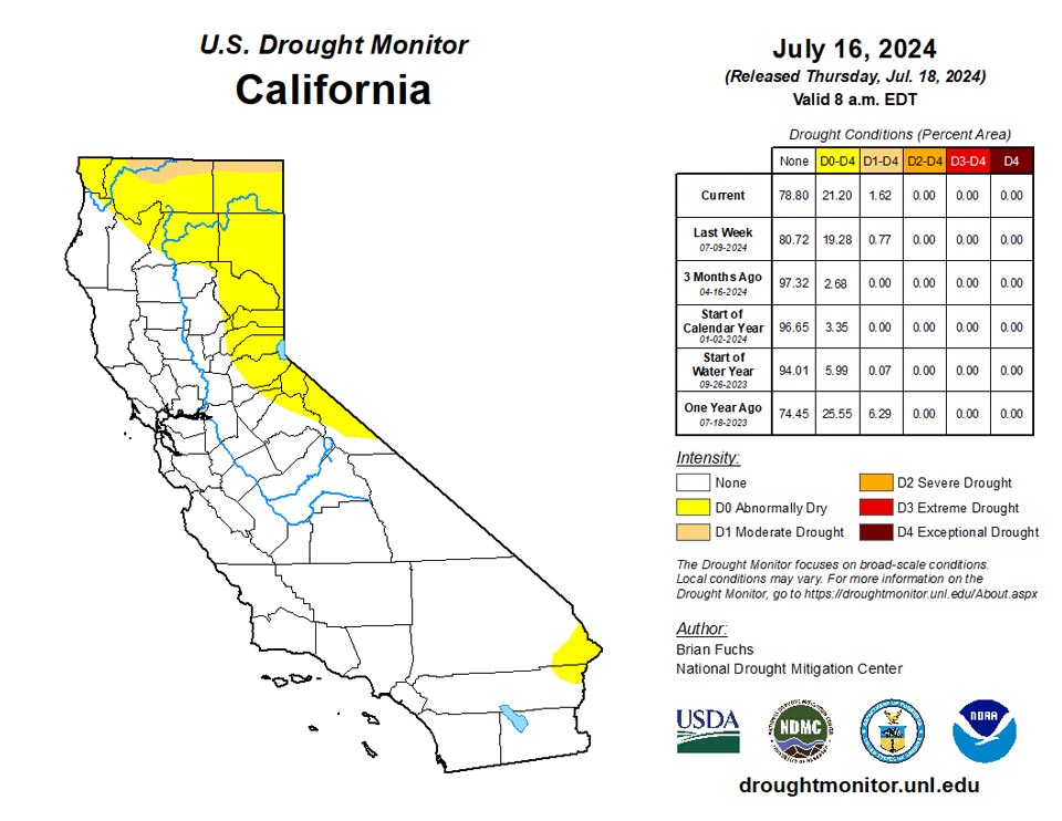 ca20240716 ca trd