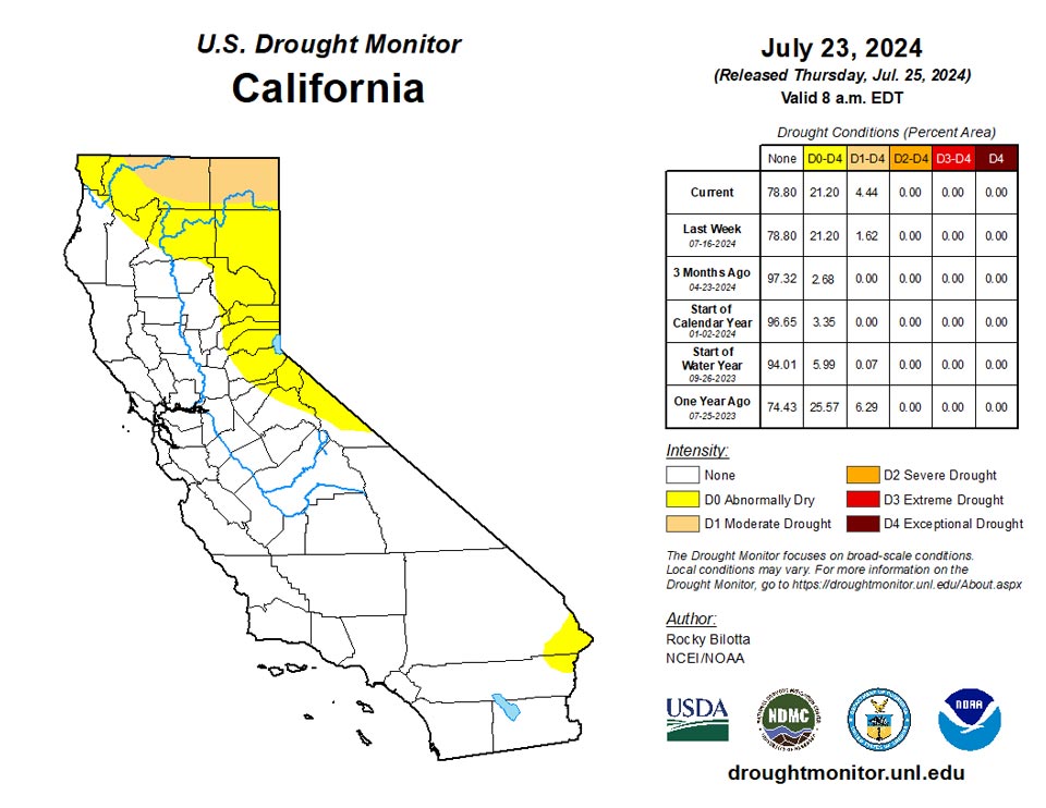 ca20240723 ca trd