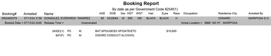 mariposa county booking report for july 13 2024