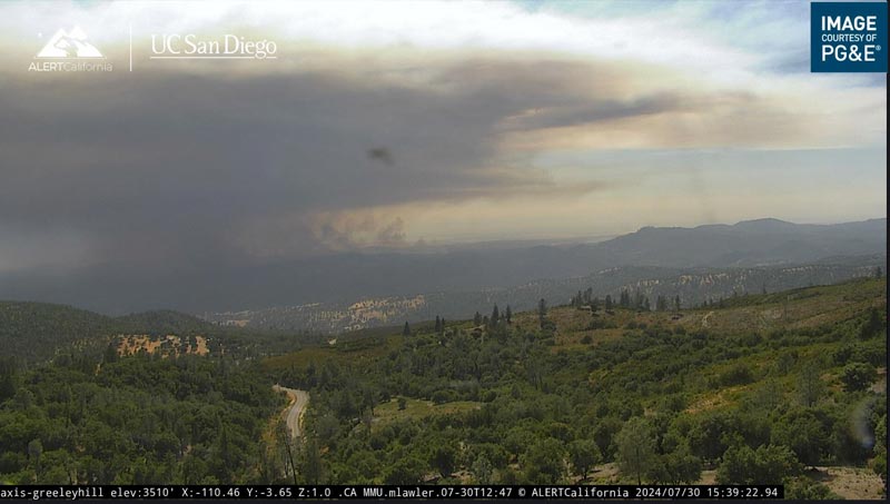 pedrofire730.1