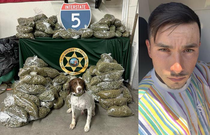 FCSO drug dog and suspect