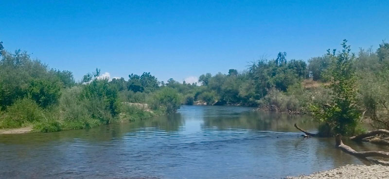 FCSO river drowning