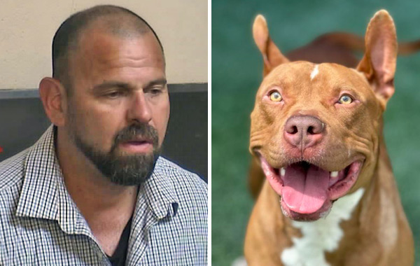 FCSO shot dog suspect