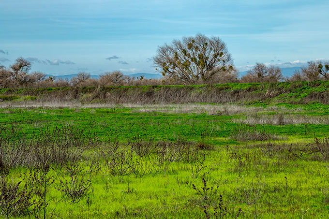Great Valley Grasslands Photo resize