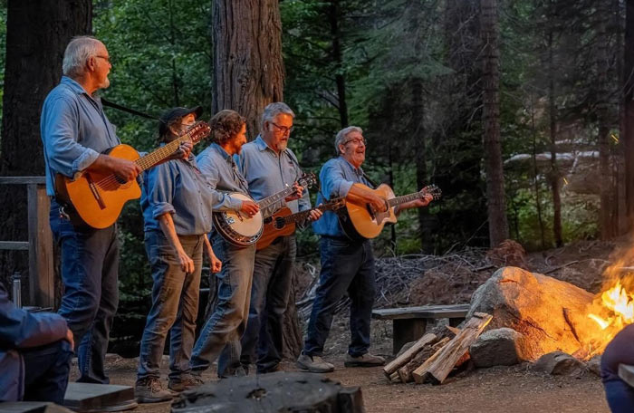 MOTG Sugar Pine