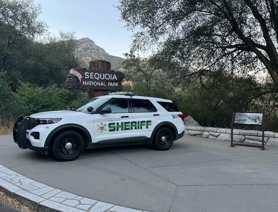 TCSO swimmer 1