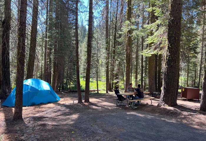 YNP Campground 1