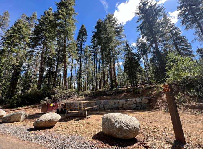 YNP Campground 3