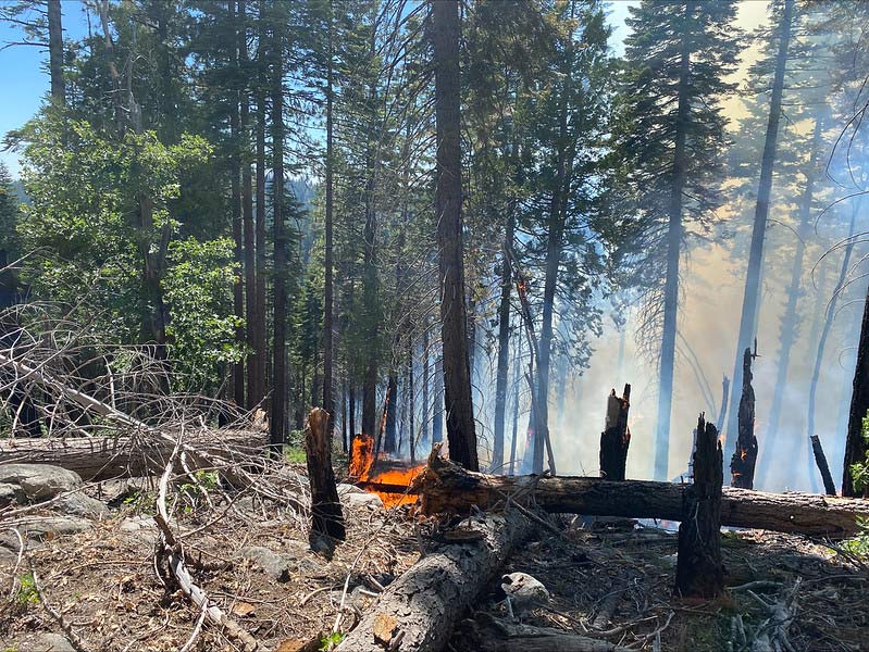 sheering fire630 stanislaus national forest
