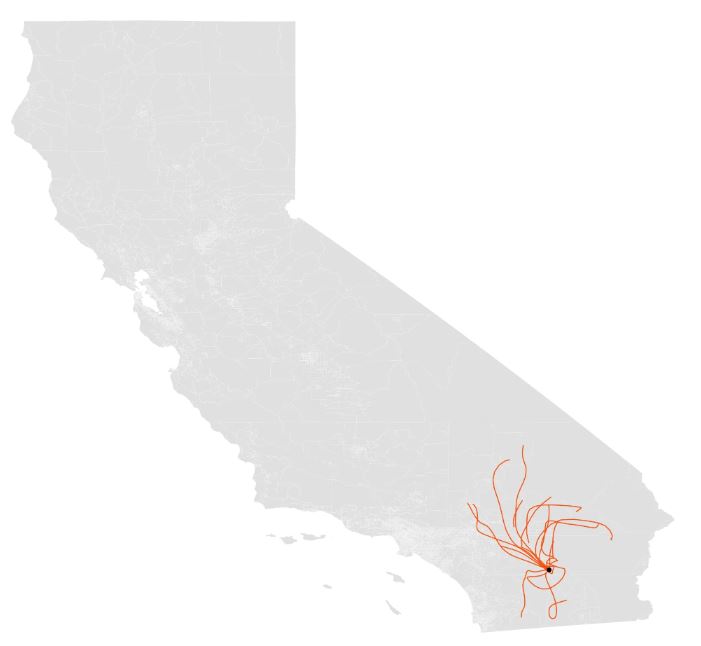 ucdavis603