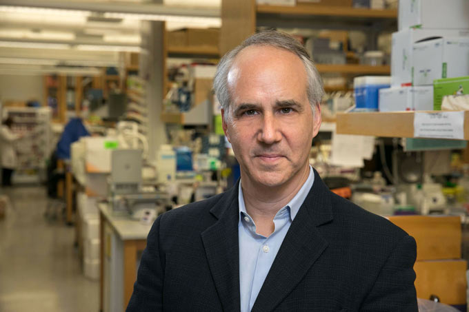 ucla Daniel+Geschwind+M.D.+Ph.D