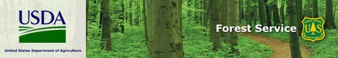 usda forest service