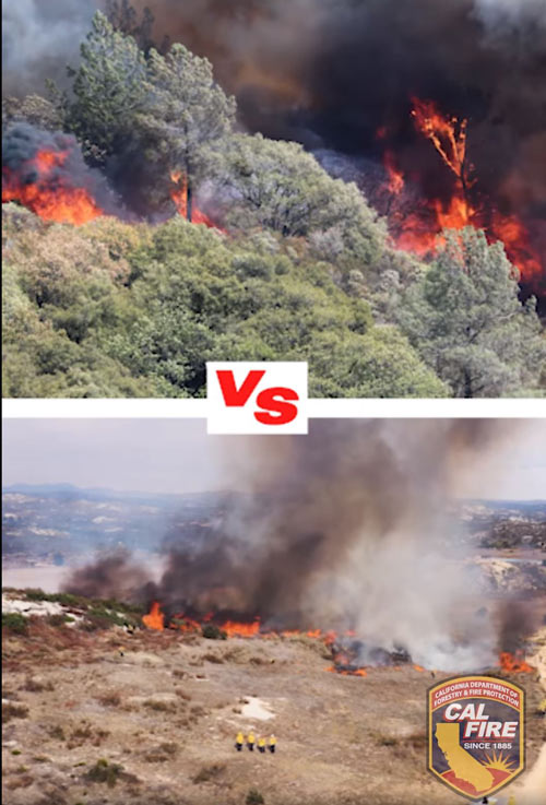 CF control vs wild