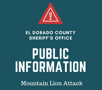 EDSO mt lion