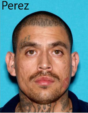 MPD murder Perez