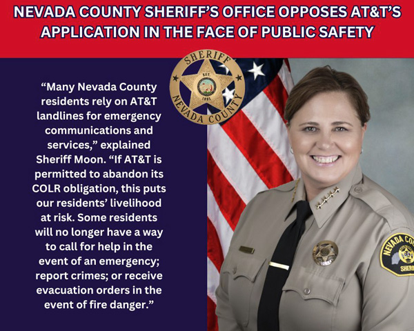 NCSO phone