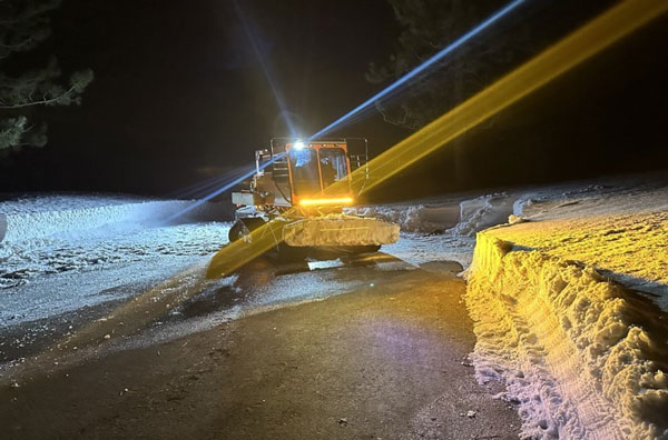 NCSO rescues