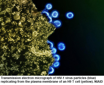 NIH 20240304 hiv