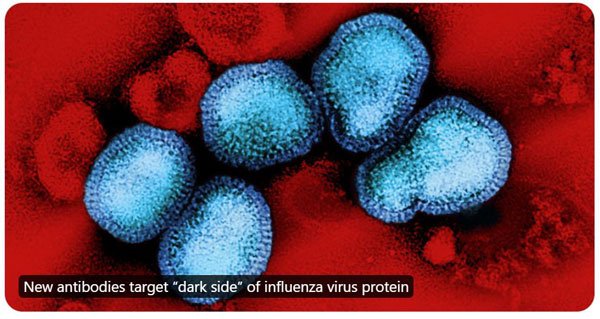 NIH influenza