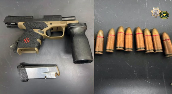 PCSO guns 1