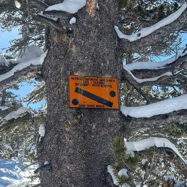 YNP snow 3