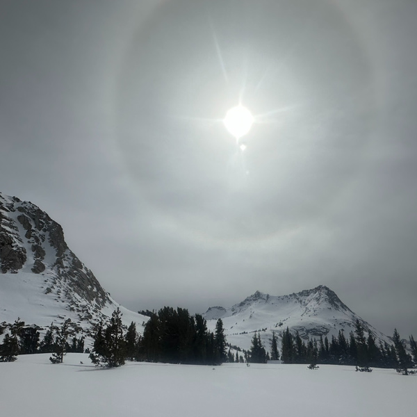 YNP snow 4