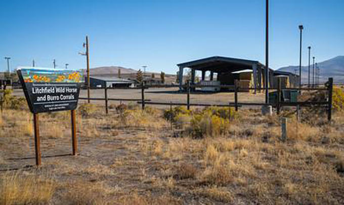 blm331 lassen county Litchfield Wild Horse and Burro Corrals