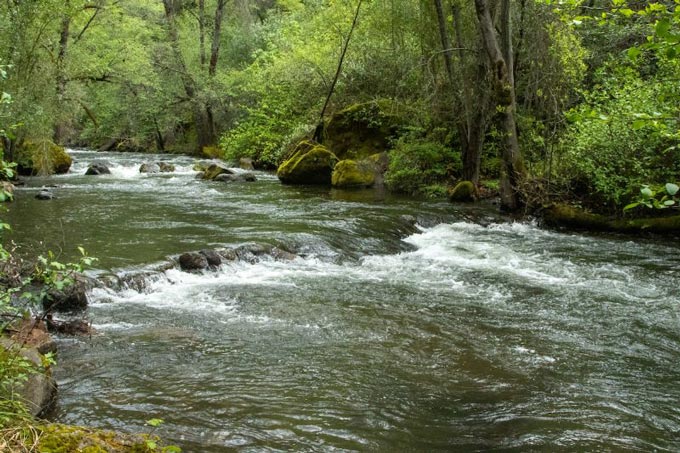 cdfw330 20220422 AVU SalmonRelease 123