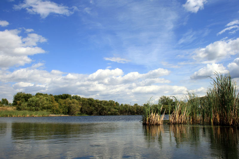 usfws wetland fergus falls wetland management district large