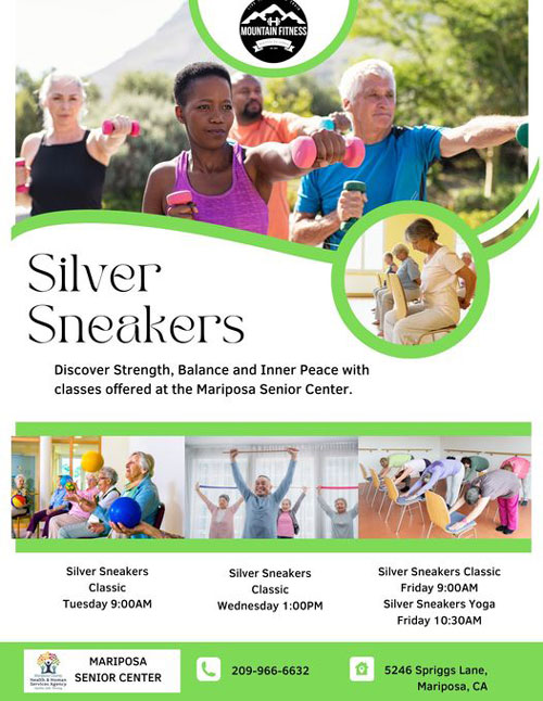 MHHS silver