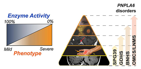 NIH 20240515 enzyme activity