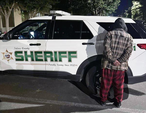 TCSO thefts 2