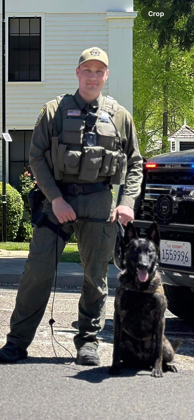 mcso415.2
