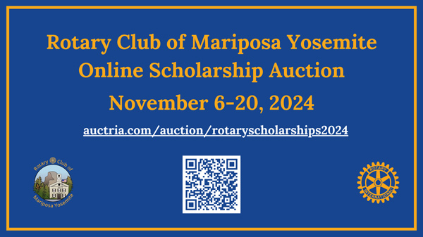 Auction Ad 1