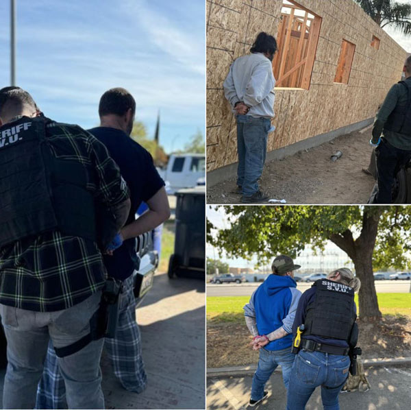 SCSO compliance check