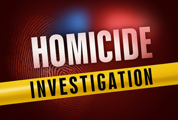 Fresno SO homicide 350