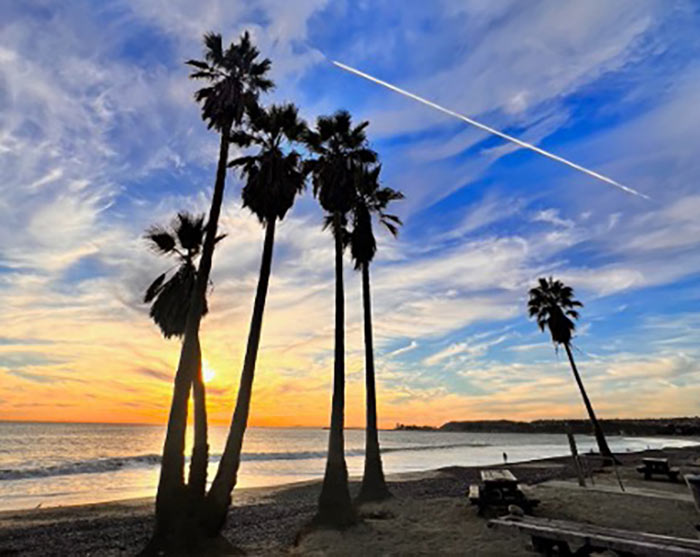 Doheny State Beach 20250415