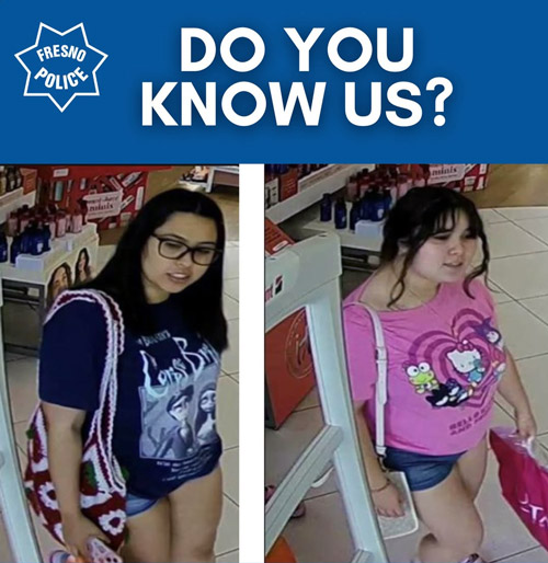 FPD shoplifters