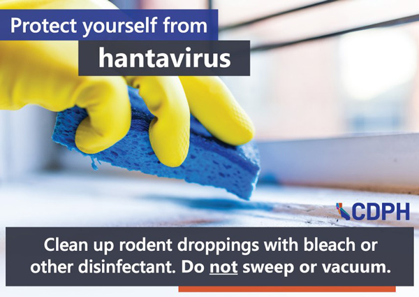 MHHS hantavirus 1