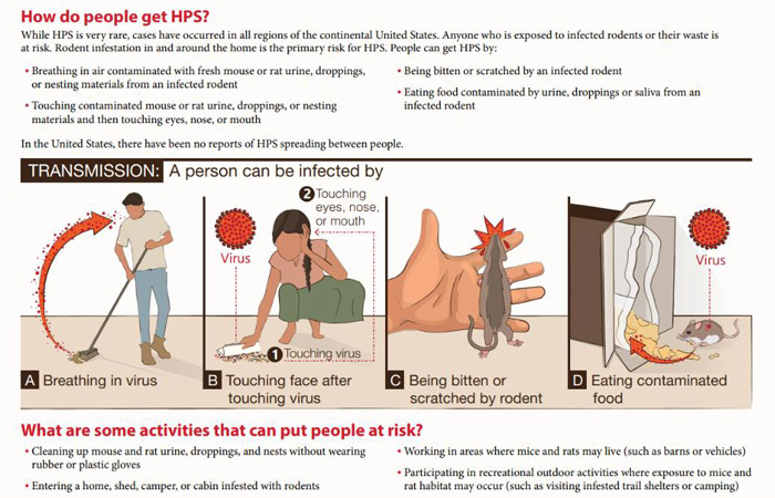 MHHS hantavirus 2