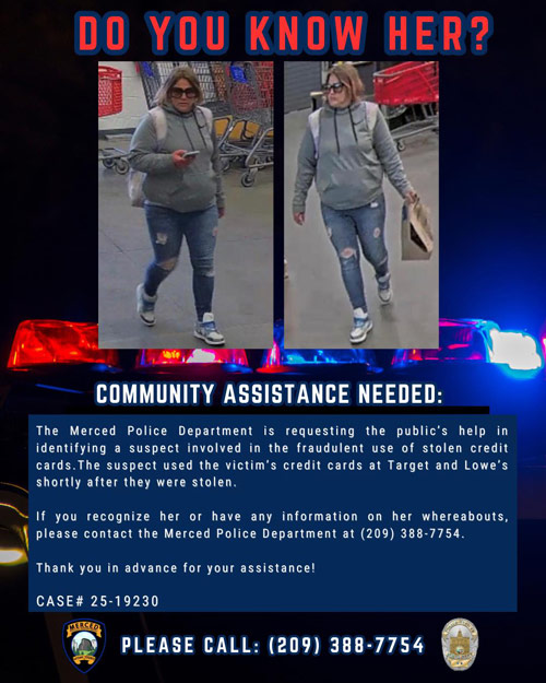 MPD theft suspect