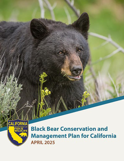 cdfw415 Bear Plan 2025 Cover