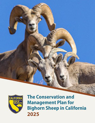 cdfw426 2025BighornSheepPlanCover