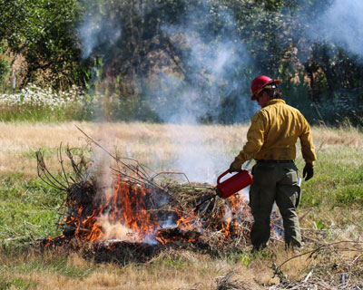 call fire burn pile801