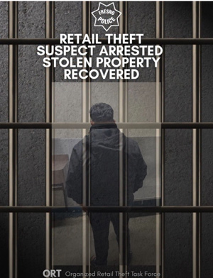 FPD retail theft