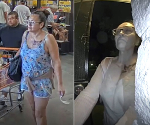 FPD suspect 500