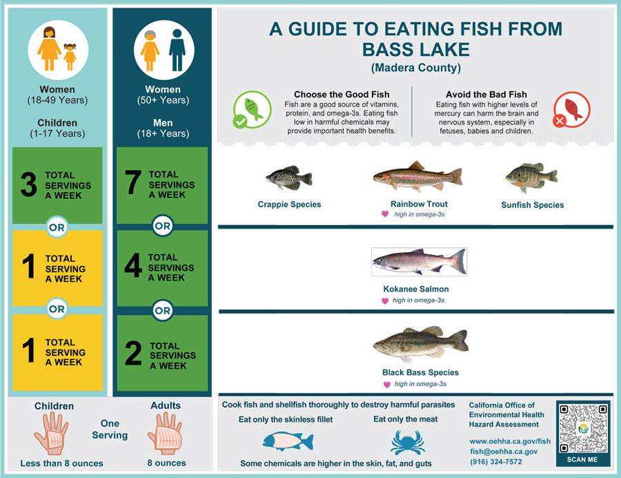 Fish Advisory Bass Lake ENG poster